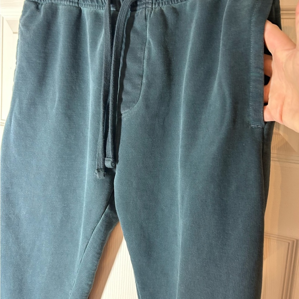 American Eagle Outfitters Teal Joggers Size M Streetwear Athleisure Distressed - Picture 2 of 15